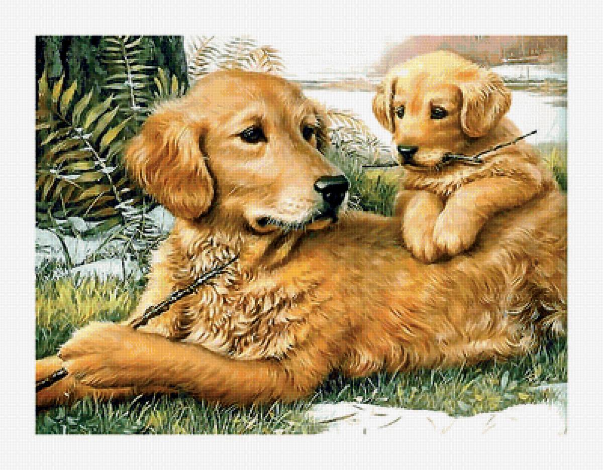 Серия "Собаки". - животные, собаки - предпросмотр