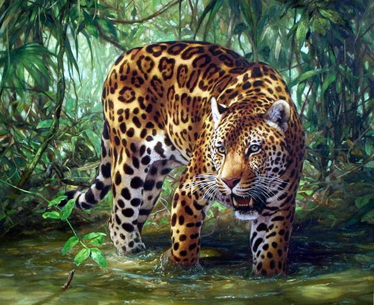 Ягуар - оригинал