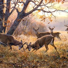 Схема вышивки «Гон оленей»