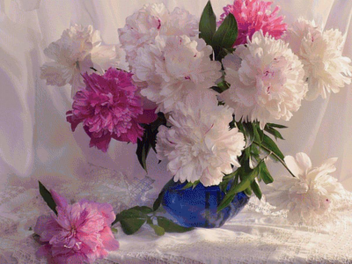 Пионы - цветы, пионы, букет, натюрморт - предпросмотр