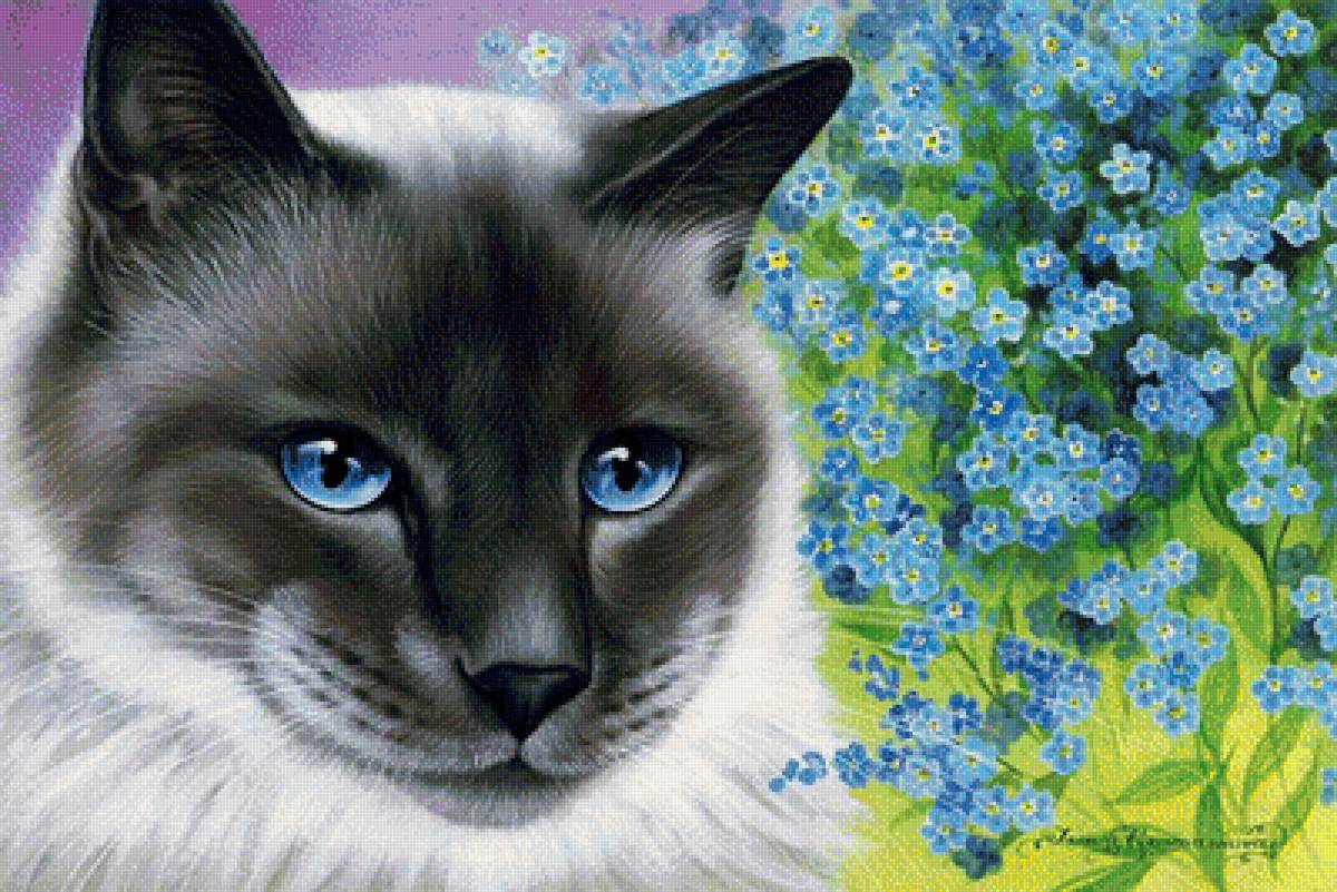 mačka,nezábudky - предпросмотр