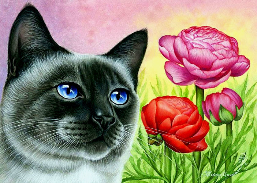 mačka,kvety - оригинал