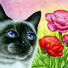 mačka,kvety