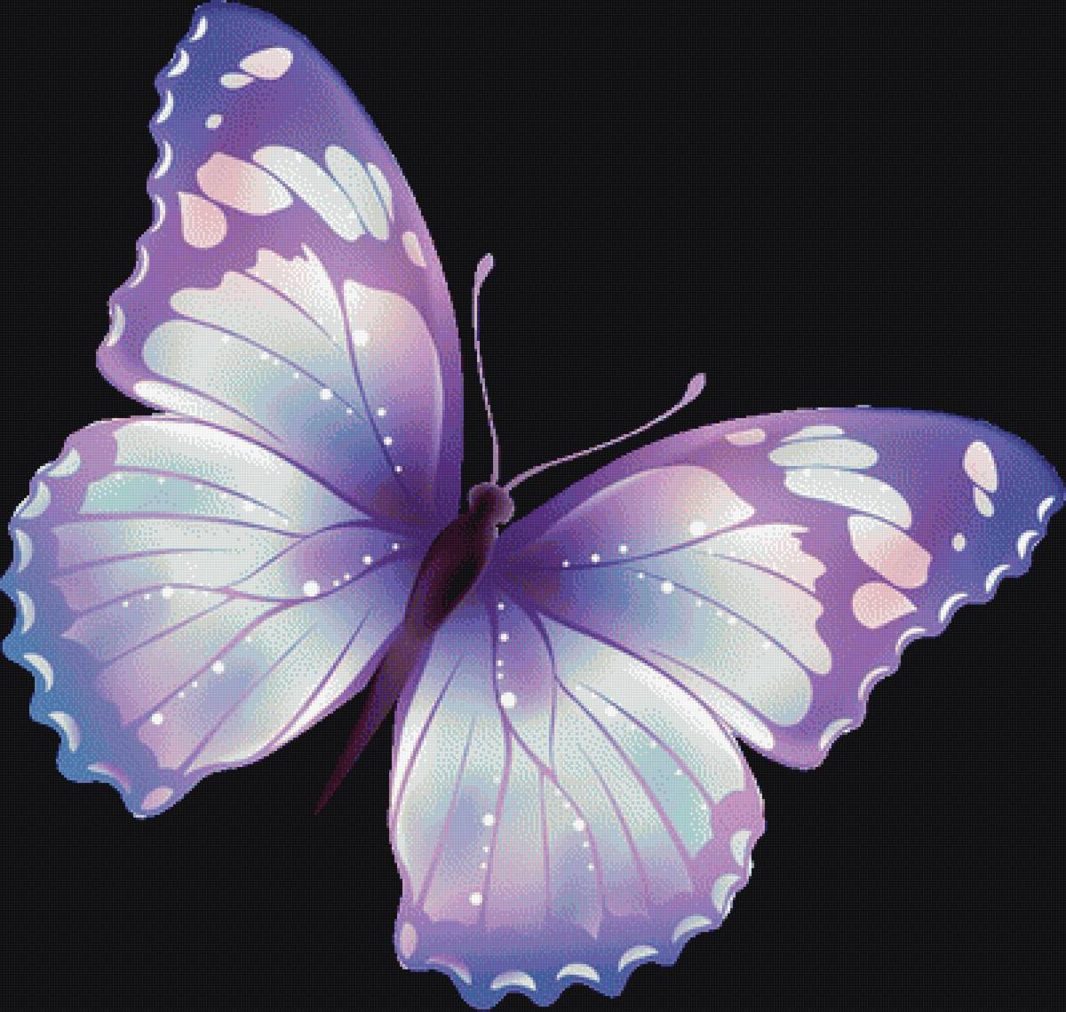 бабочка - предпросмотр