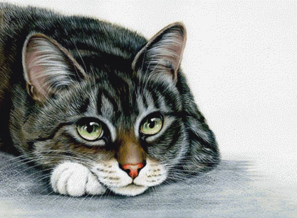 №1907789 - предпросмотр