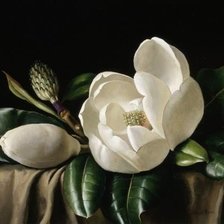 Схема вышивки «цветы»