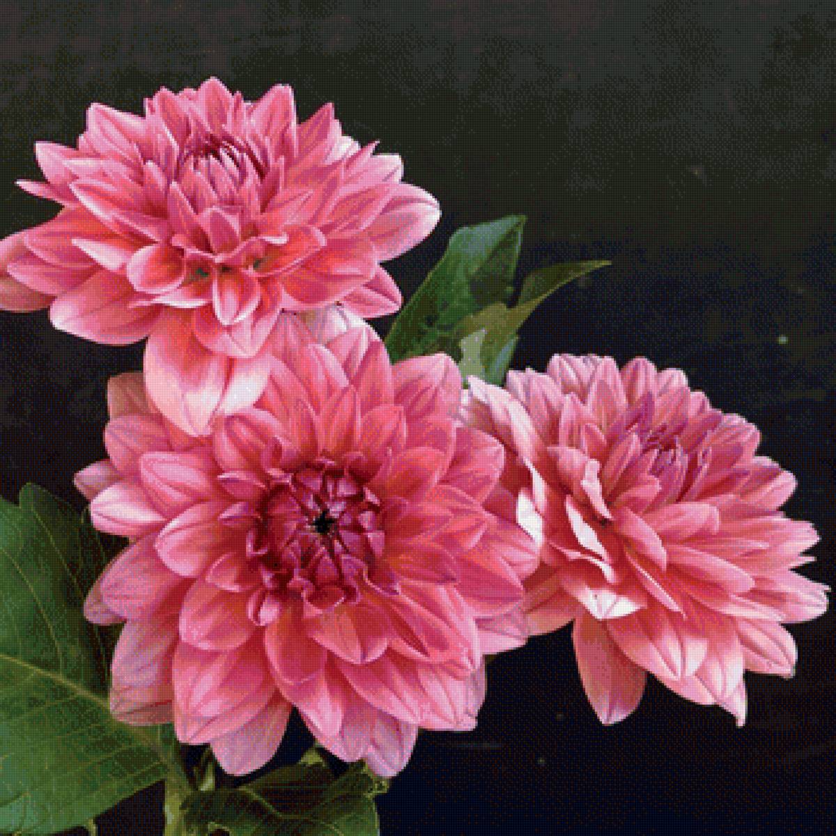 Цветы - букет, цветы - предпросмотр