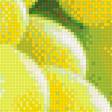 Предпросмотр схемы вышивки «Солнечный виноград» (№1908348)