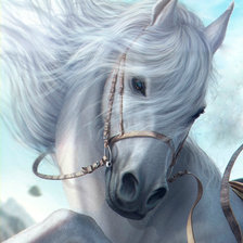 Схема вышивки «лошадка белая»