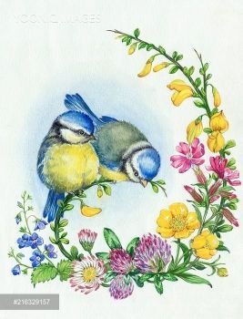 sýkorky,kvety - оригинал