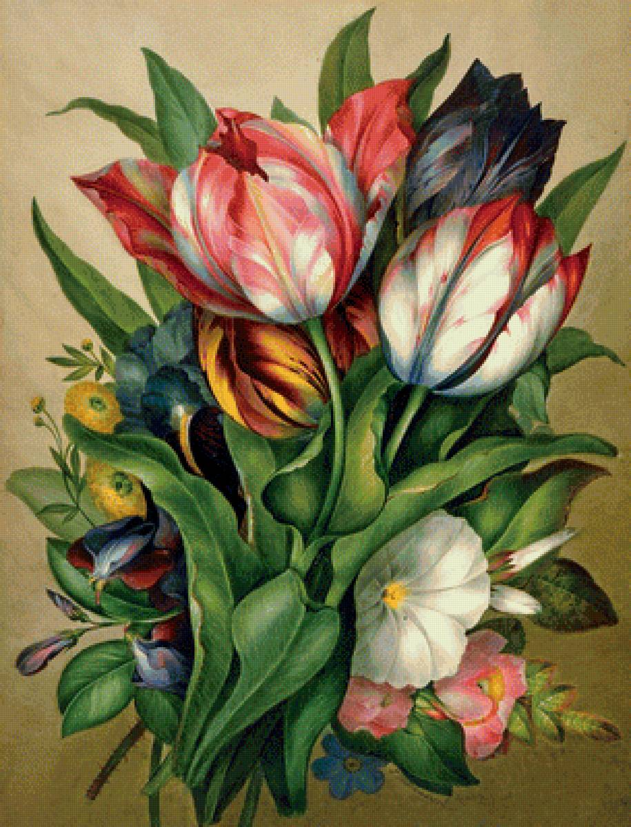 kytica - предпросмотр