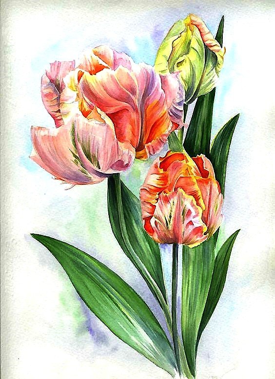 цветы - оригинал