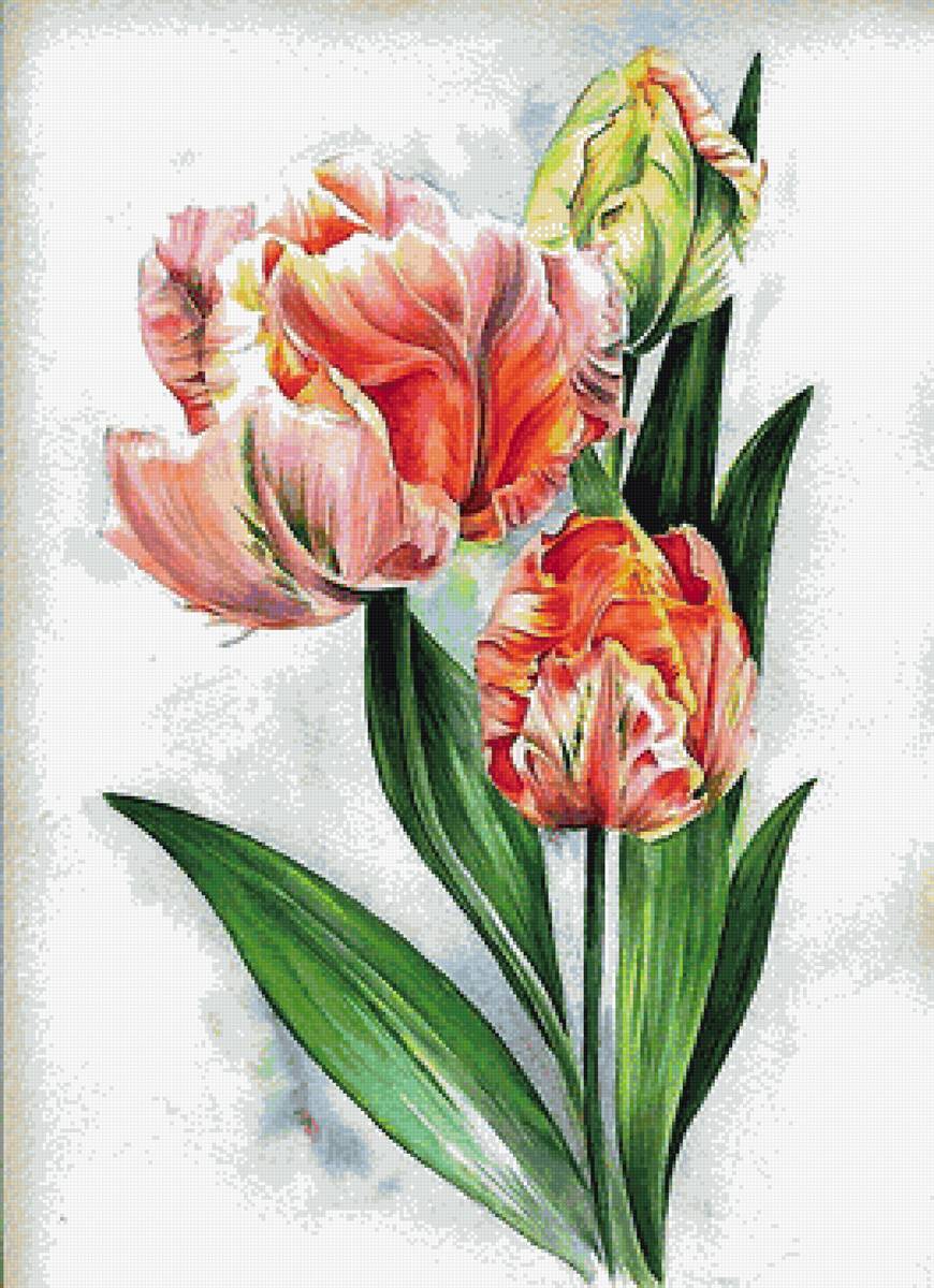 цветы - предпросмотр