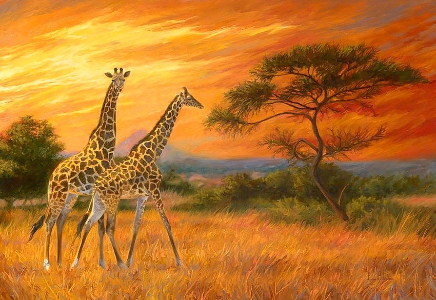 Закат в саванне - африка, жирафы, закат - оригинал