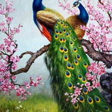 Схема вышивки «pávy na konári»