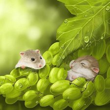 Схема вышивки «№1908740»