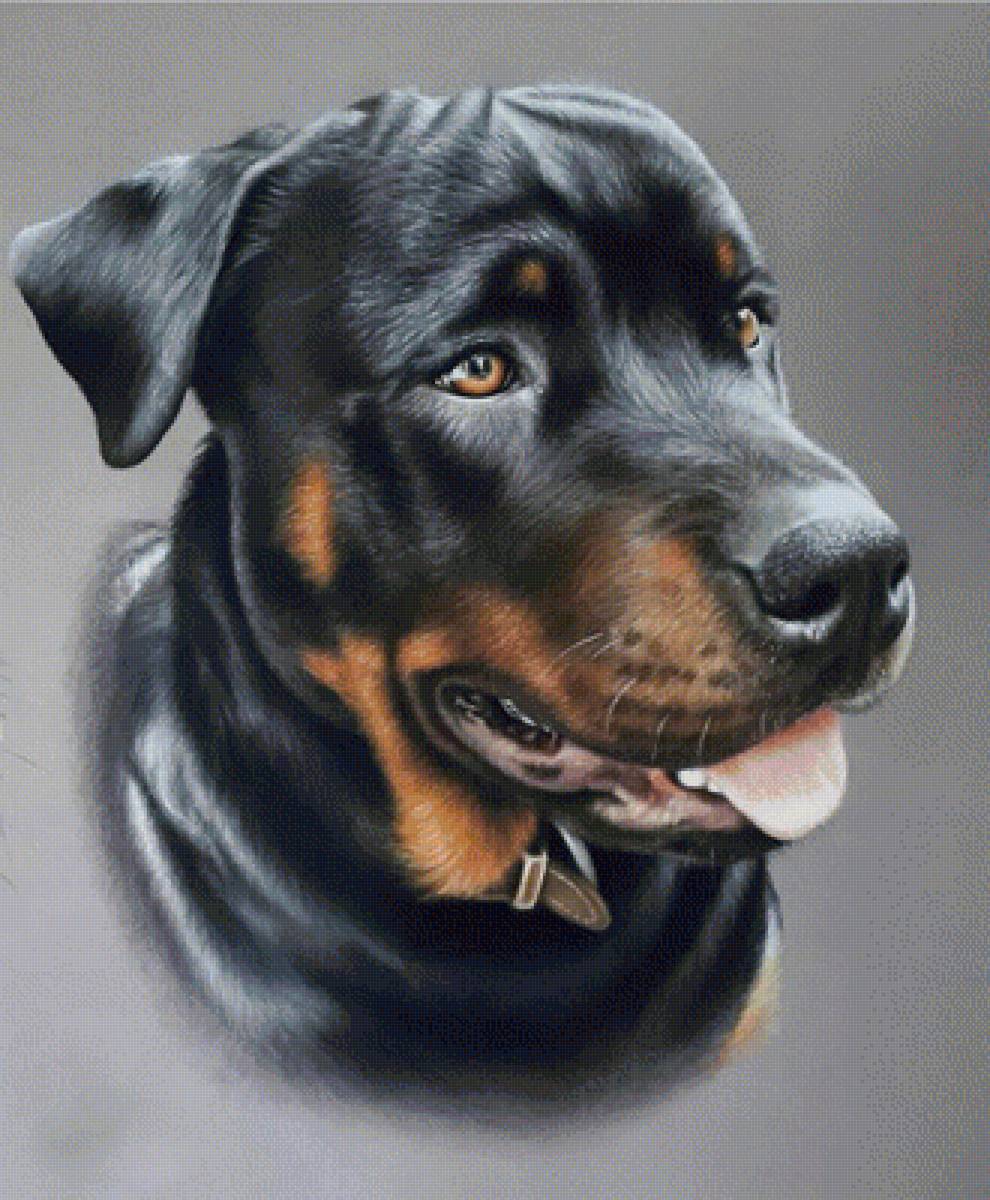 Друг человека - собака друг человека - предпросмотр