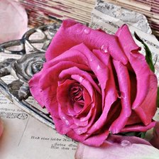 Схема вышивки «Роза»