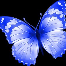 Схема вышивки «бабочка»