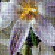 Предпросмотр схемы вышивки «перво цветы» (№1909110)