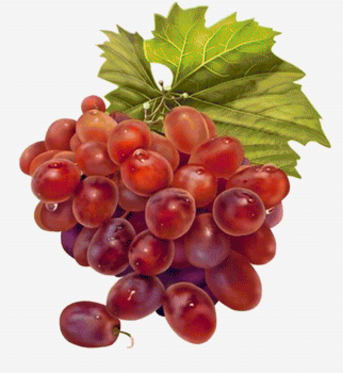 ВИНОГРАД - виноград - предпросмотр