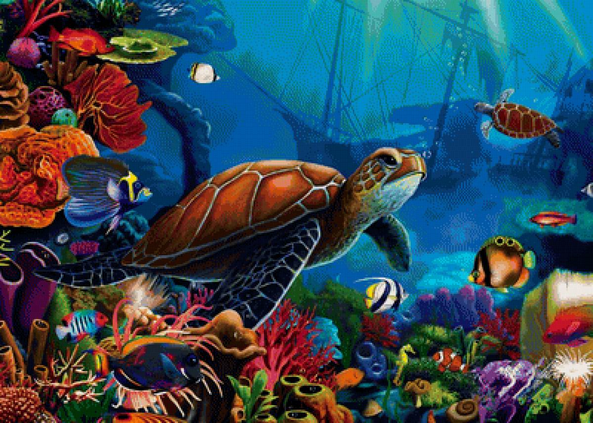 Подводный мир - черепахи, море, рыбы, подводный мир, кораллы - предпросмотр