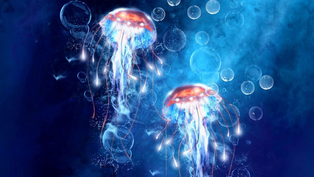Медузы - подводный мир, медузы - оригинал