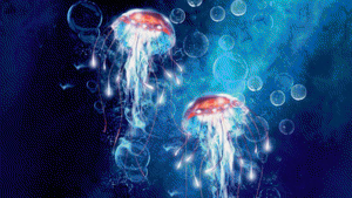 Медузы - подводный мир, медузы - предпросмотр