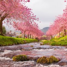 Красота природы