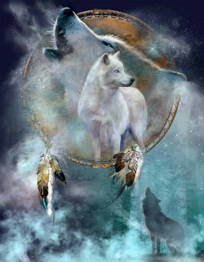 Ловец снов - рисунок, волк, ловец снов, животные, волки - оригинал