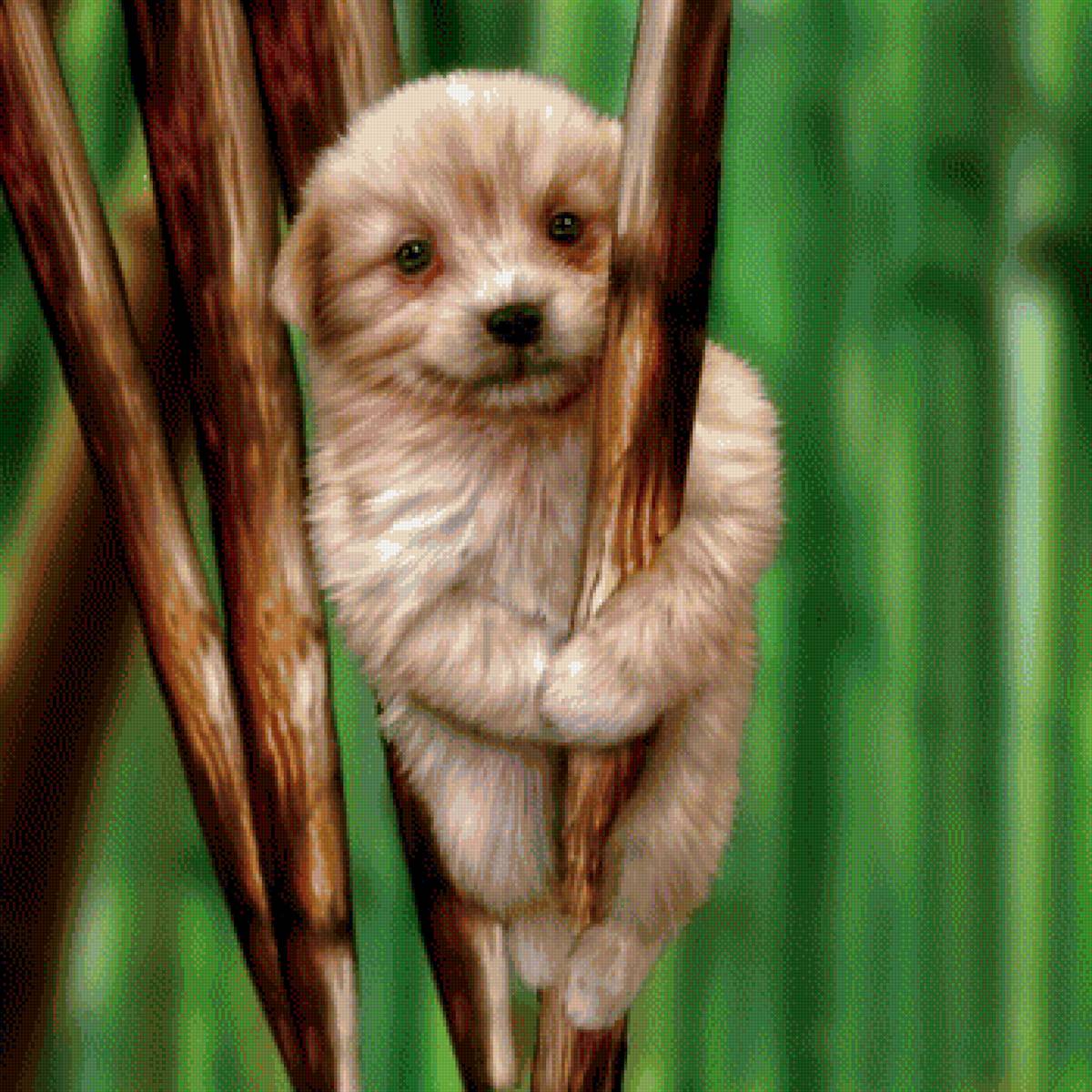 Щенок - животные, собачка, щенок, рисунок - предпросмотр