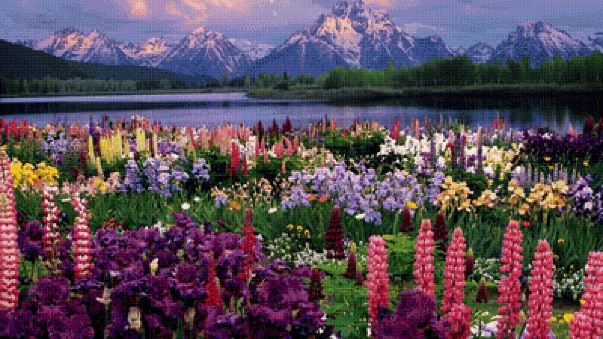 Луг с цветами - луг, цветы, озеро, горы - предпросмотр