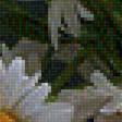 Предпросмотр схемы вышивки «натюрморт» (№1909576)