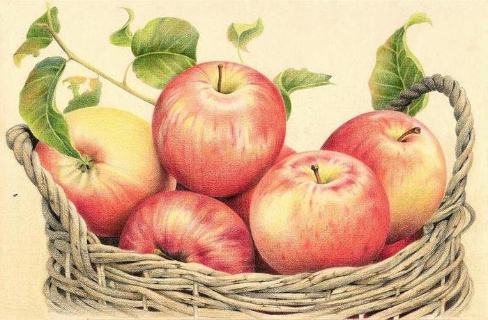Кошик з яблуками - оригинал