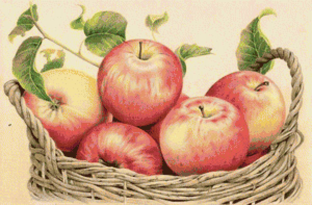 Кошик з яблуками - предпросмотр