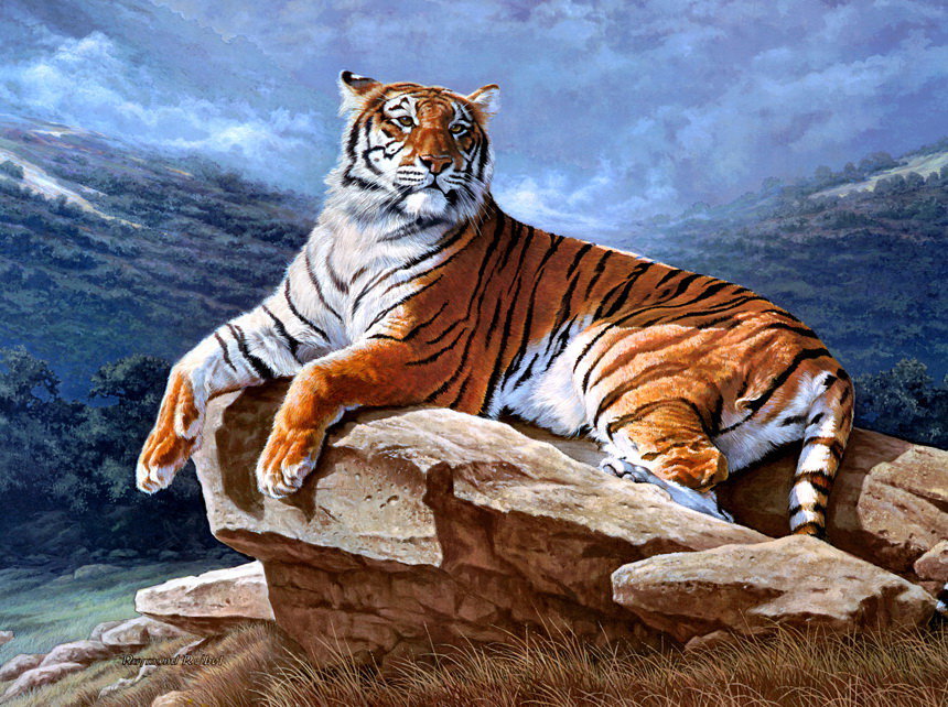 Мир животных - тигр, животное, природа, горы - оригинал