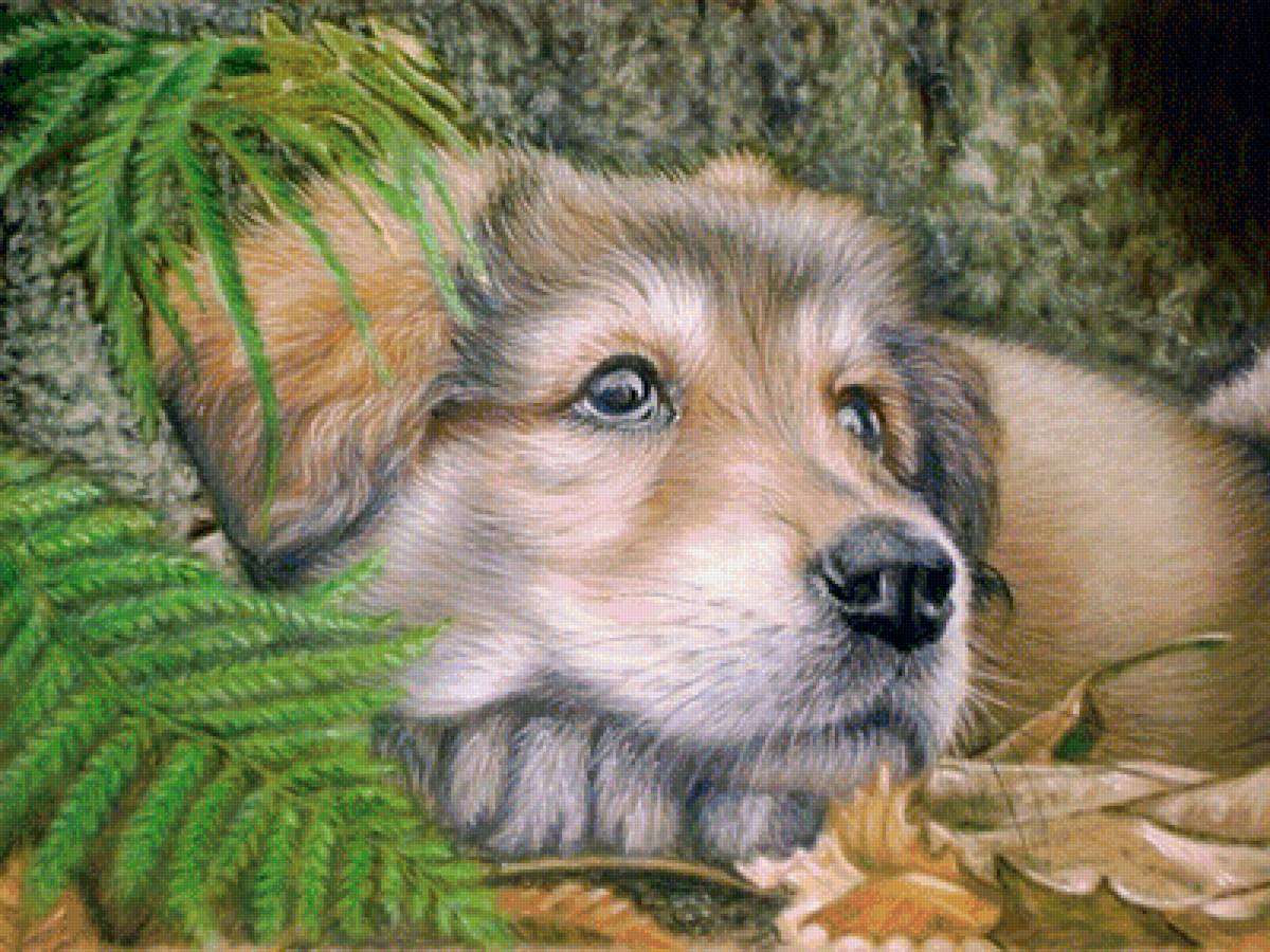 Мир животных - арт, животное, собака, пес - предпросмотр