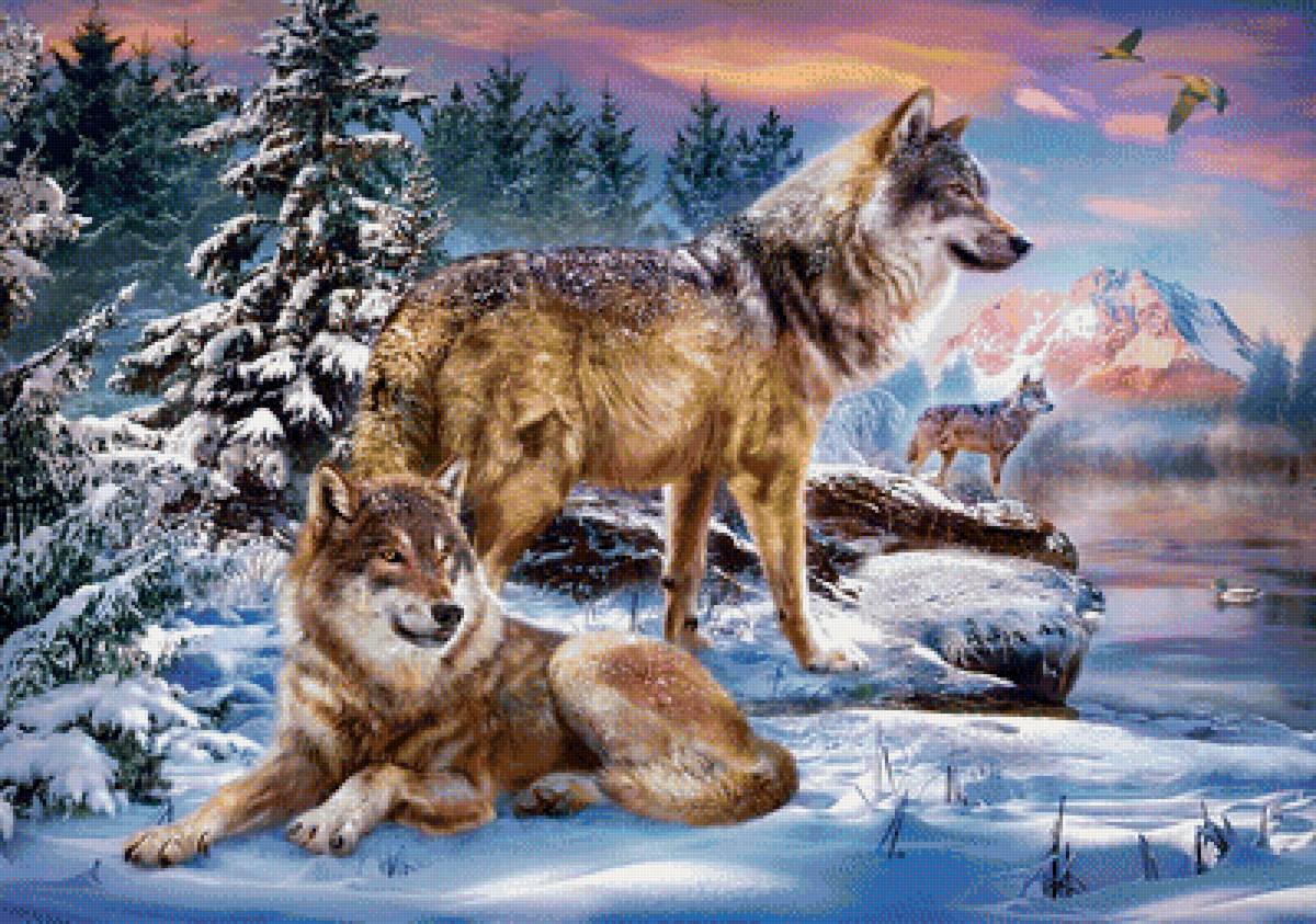 Волки - природа, снег, волк, лес, волки, рисунок, зима, животные - предпросмотр