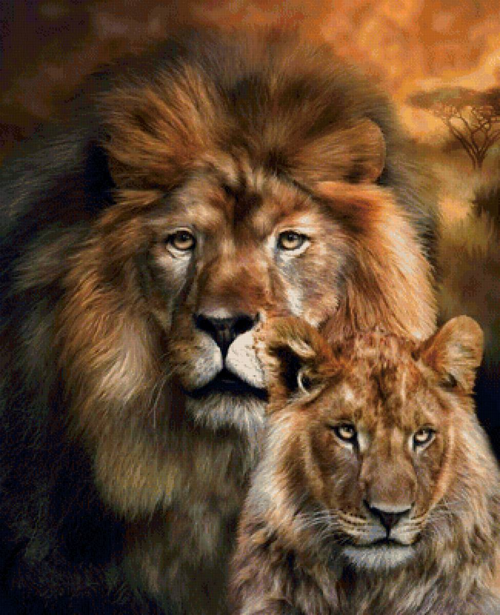 Львы - львица, лев, львы, животные, рисунок - предпросмотр