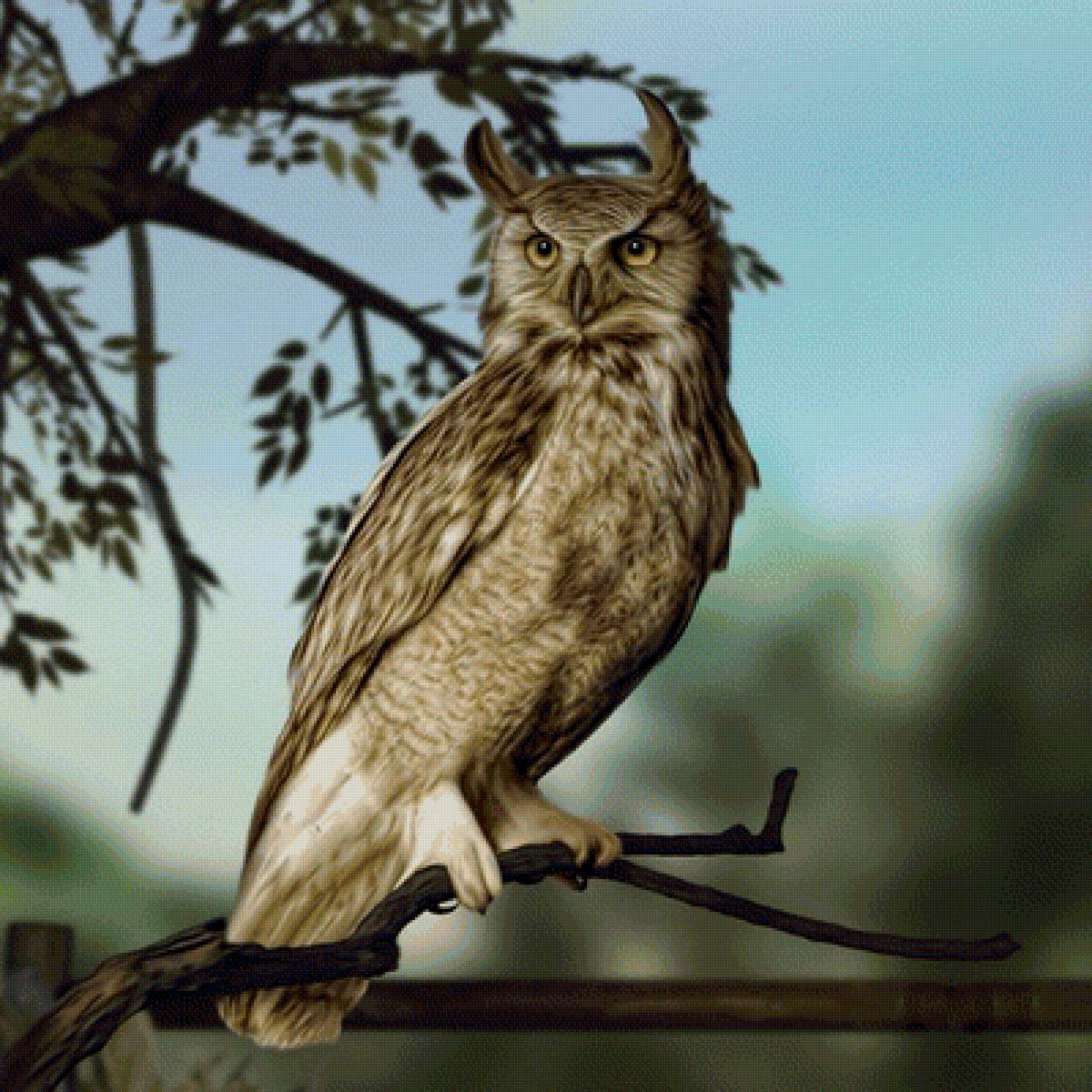 Сова - птица, рисунок, сова - предпросмотр