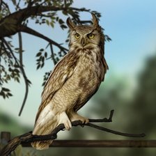 Схема вышивки «Сова»