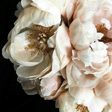 Схема вышивки «Пионы 5»