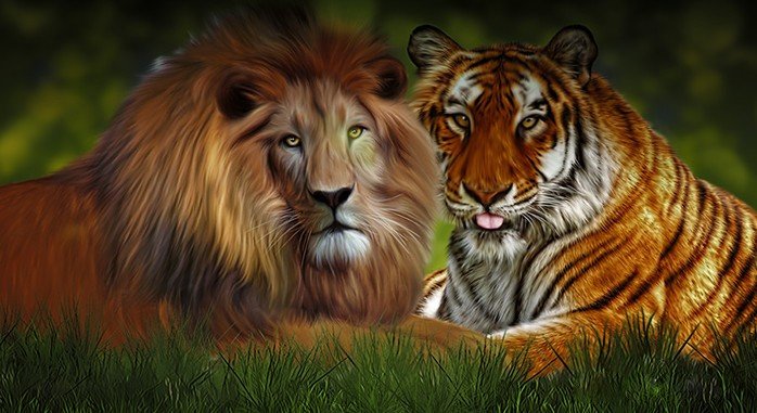 Лев и тигр - рисунок, лев, животные, тигр - оригинал