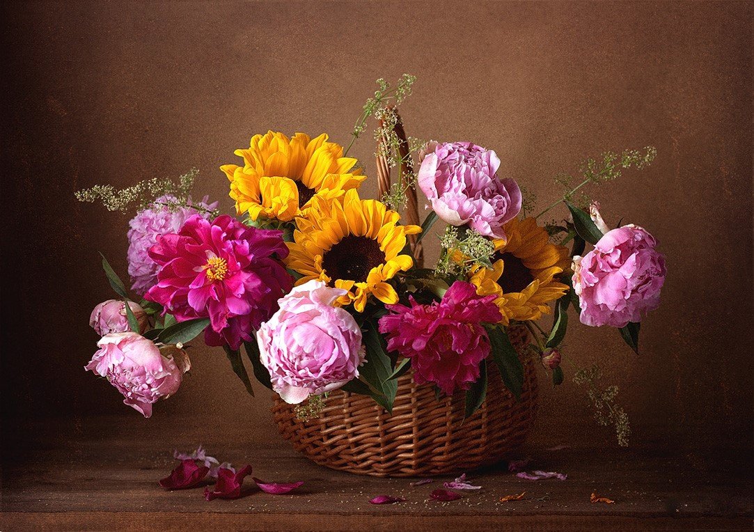 Цветы - букет, натюрморт, пионы, цветы - оригинал