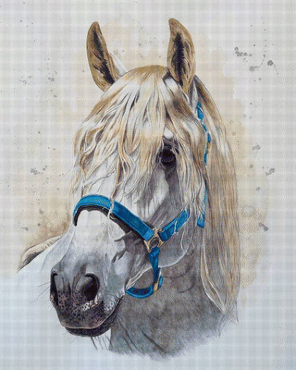 портрет серой лошади - животные, рисунок, лошади - предпросмотр