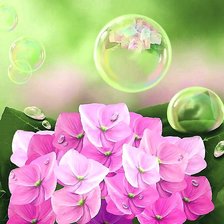 Схема вышивки «№1910894»