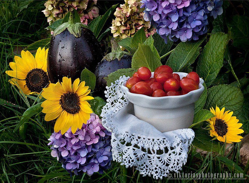 натюрморт - оригинал