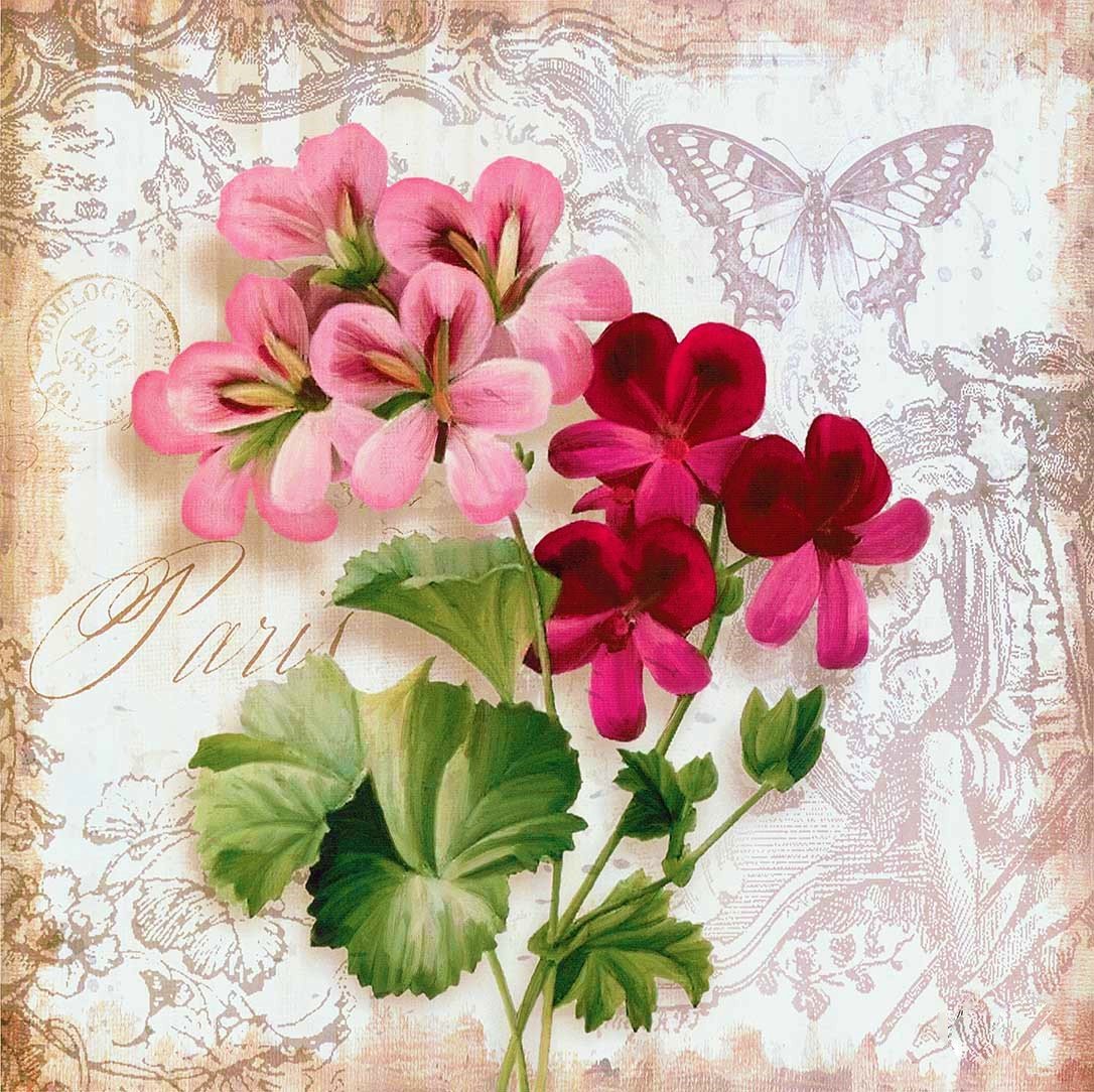 Цветы - рисунок, цветок, цветы - оригинал