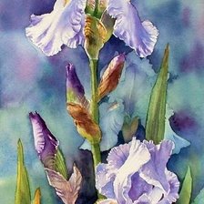 Схема вышивки «№1911592»