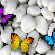 Схема вышивки «Бабочки»